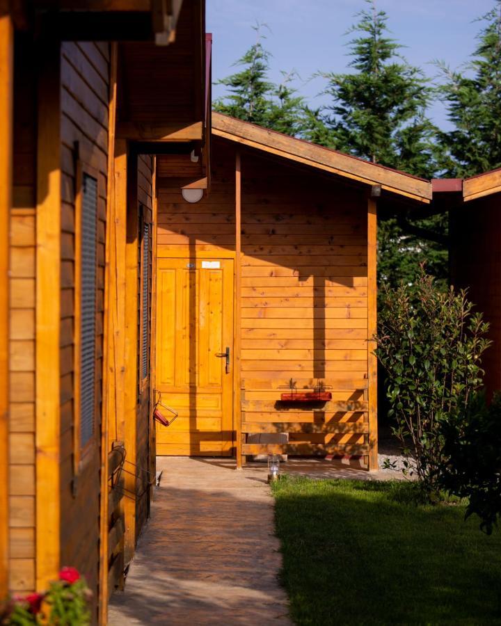 Sunny Garden Hotell Ulcinj Exteriör bild